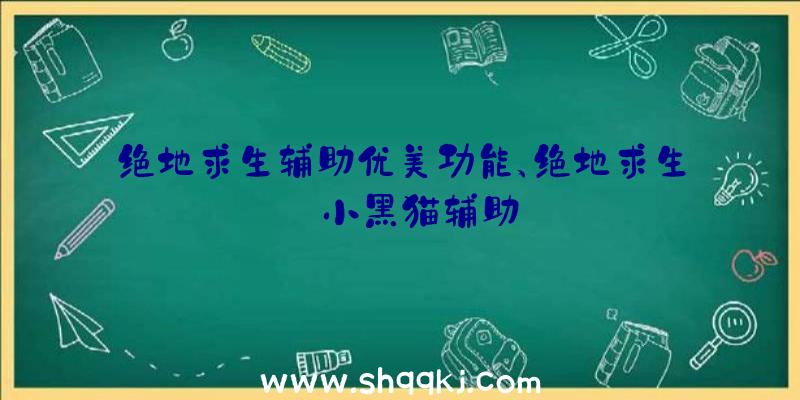 绝地求生辅助优美功能、绝地求生